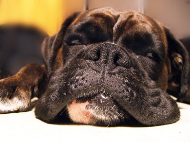 sleepy.jpg
