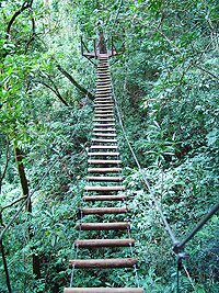 bridge1.jpg
